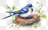 PNG Bird cartoon animal nest. AI generated Image by rawpixel.