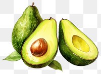 PNG Avocado fruit plant food. 