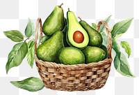 PNG Avocado basket fruit plant. AI generated Image by rawpixel.