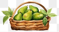 PNG Basket fruit plant food. AI generated Image by rawpixel.