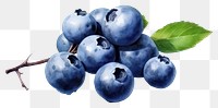 PNG Blueberry fruit plant food. 