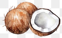 PNG Coconut freshness eggshell chestnut. 