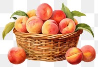 PNG Peach basket fruit apple transparent background