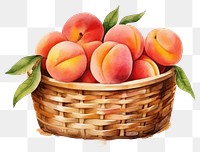 PNG Peach basket fruit plant transparent background