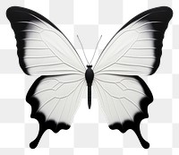 PNG Butterfly animal insect white. 