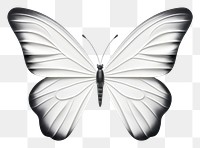 PNG  Butterfly insect animal invertebrate. AI generated Image by rawpixel.