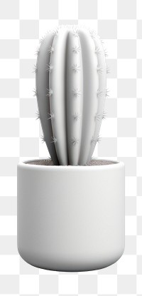 PNG Cactus  transparent background