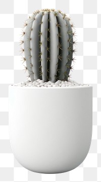 PNG Cactus  transparent background