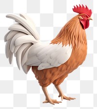 PNG Chicken poultry animal bird. 