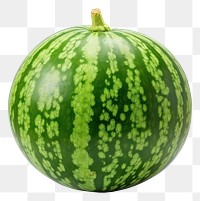 PNG Watermelon fruit green plant. 