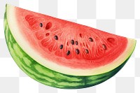 PNG Watermelon fruit plant food. 