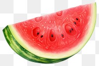 PNG Watermelon fruit plant food. 