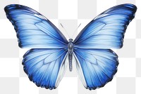 PNG Butterfly animal insect  