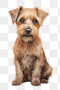 PNG Dog terrier mammal animal. AI generated Image by rawpixel.