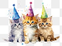 PNG Kitten birthday  transparent background