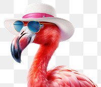 PNG Flamingo sunglasses wildlife animal