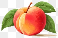 PNG Peach fruit  transparent background