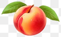 PNG Peach fruit   transparent background