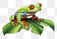 PNG Frog amphibian wildlife reptile transparent background