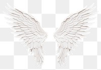 PNG Angel bird archangel feather. 