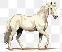 PNG Horse stallion animal mammal transparent background