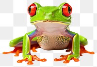 PNG Frog amphibian wildlife reptile transparent background