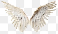 PNG Angel wing bird transparent background