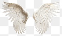 PNG Flying angel bird transparent background