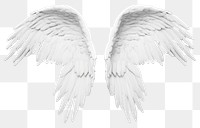 PNG White angel wing bird transparent background