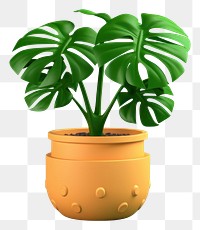 PNG Plant leaf tree houseplant. 