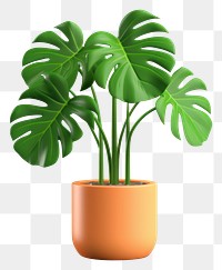 PNG Plant leaf tree houseplant. 