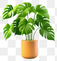 PNG Plant leaf tree houseplant. 