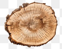 PNG Cutted oak log plant wood tree