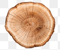 PNG Cutted oak log plant wood tree. 