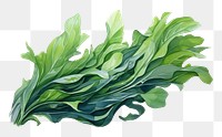 PNG Vegetable plant food leaf. AI generated Image by rawpixel.