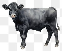 PNG Cattle livestock mammal animal. AI generated Image by rawpixel.