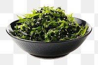 PNG Seaweed plant food bowl. 