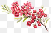 PNG Blossom flower plant freshness. AI generated Image by rawpixel.