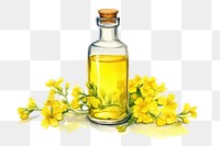 PNG Bottle canola white background freshness. 