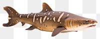 PNG Shark animal fish  