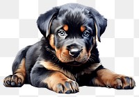 PNG Puppy rottweiler mammal animal. 