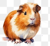 PNG Hamster mammal rodent animal. 