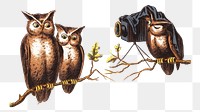 PNG Vintage owls, animal bird illustration, transparent background. Remixed by rawpixel.