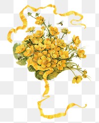 PNG Buttercups, vintage flower illustration by L. Prang & Co., transparent background. Remixed by rawpixel.