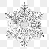 PNG Snowflake, vintage photo by Wilson Alwyn Bentley, transparent background. Remixed by rawpixel.