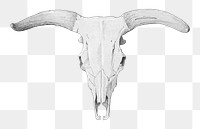 PNG Skull of a cow, vintage illustration by by P. C. Skovgaard, transparent background. Remixed by rawpixel.
