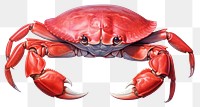 PNG Crab lobster seafood animal transparent background