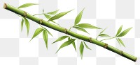 PNG Bamboo branch plant transparent background