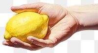 PNG Lemon hand fruit plant transparent background