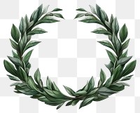 PNG Wreath plant leaf transparent background